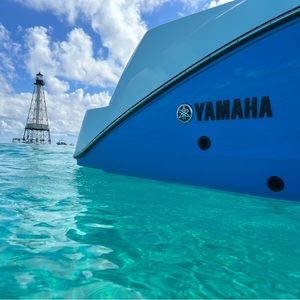 Meet your Posher, Trevor